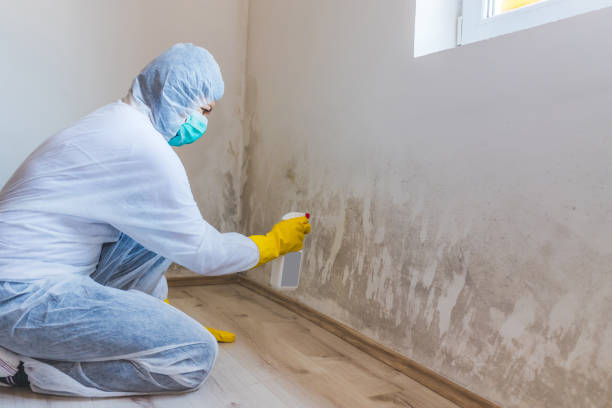 Hvac And Air Duct Mold Remediation inspection of HVAC system in Cedar